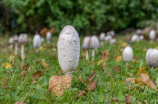 微生物检验(微生物检验的重要性与应用)