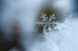 雪中悍刀行王仙芝(《雪中悍刀行》新剧《王仙芝》开机)